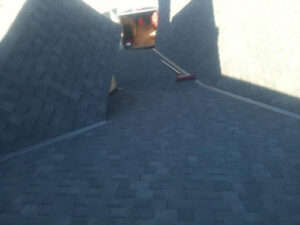 Roof Installation Expertise