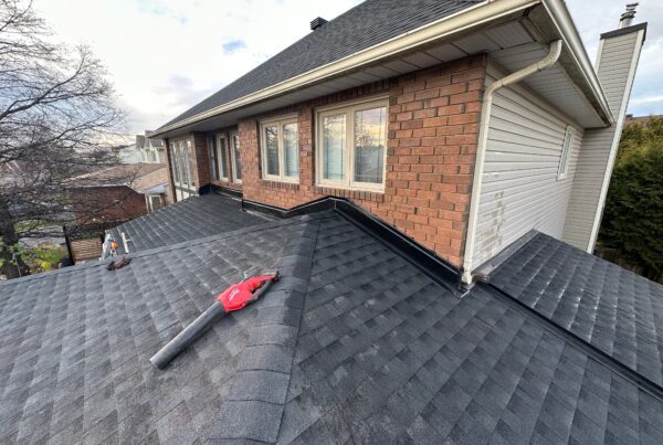 A good condition roof with a leafblower on it