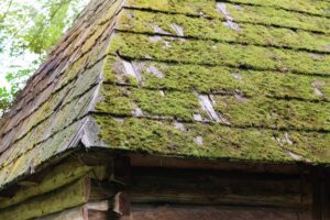 A homeowner's roof covered in moss